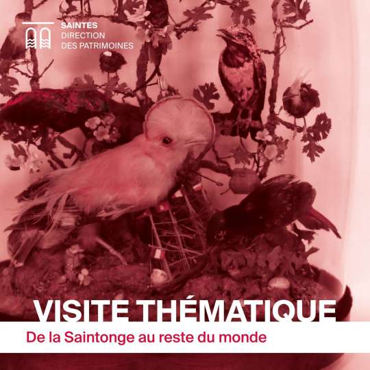 DUPUY_visite-voyages