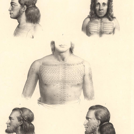 Tatouages sur une planche de l'atlas de voyage de l'Astrolabe